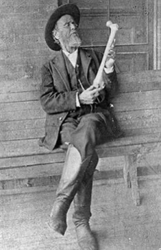 Dr Andrew Taylor Still